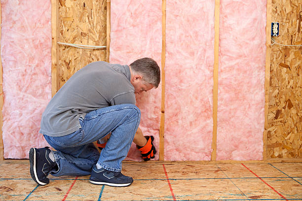 Best Spray Foam Insulation  in Exmore, VA